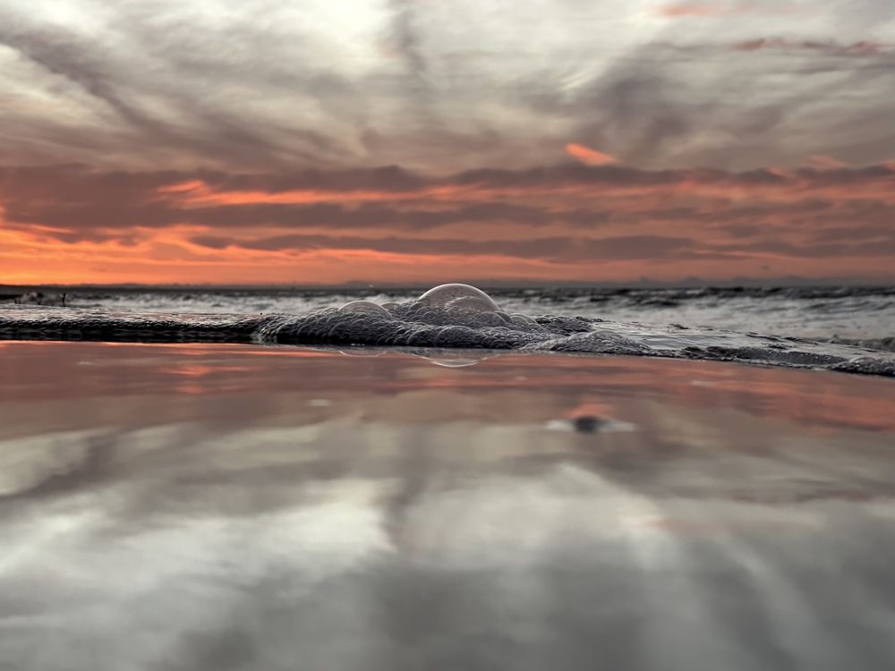 Photograph by Karina Stavicka