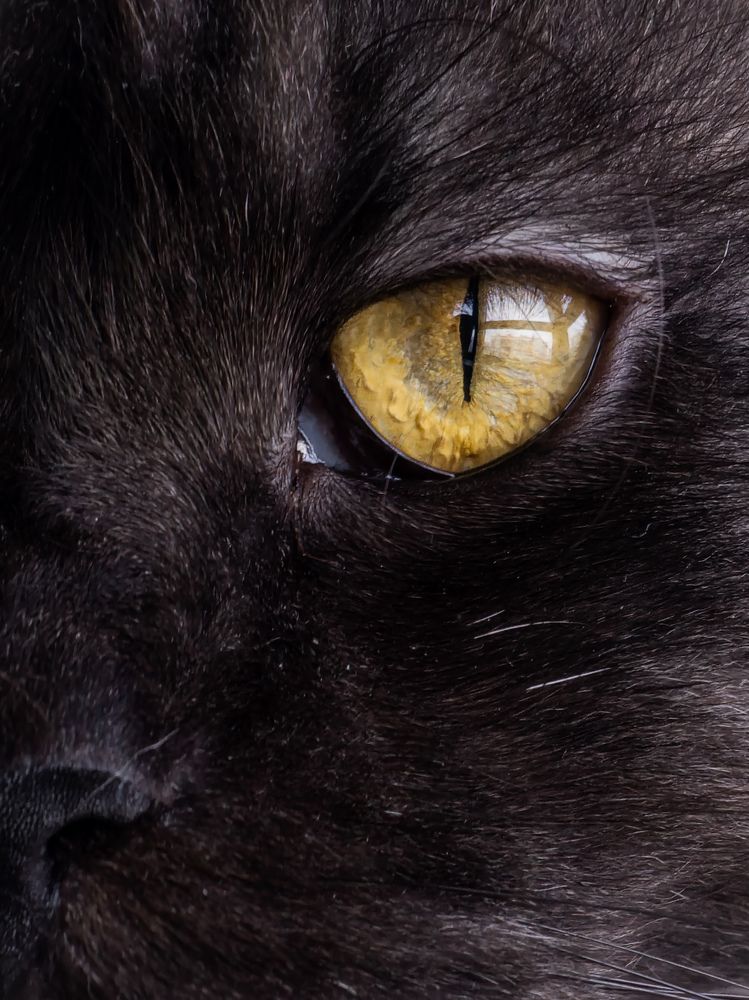 Photograph by Алёна Губинская