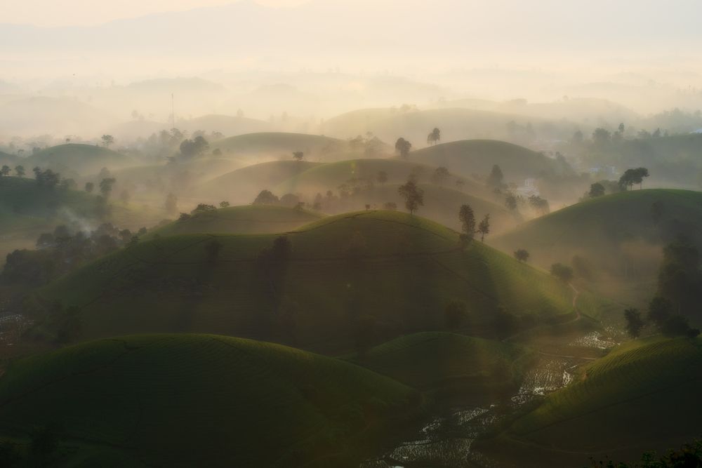 Photograph by Duy Chris