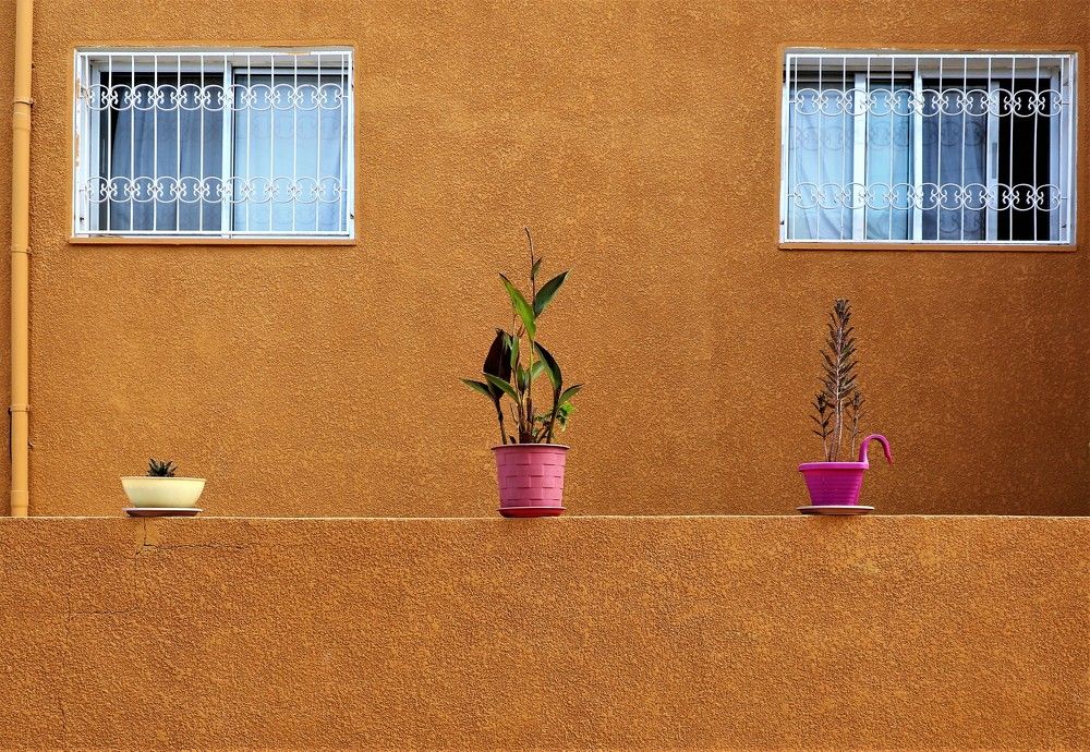 Photograph by Ramzi Nari