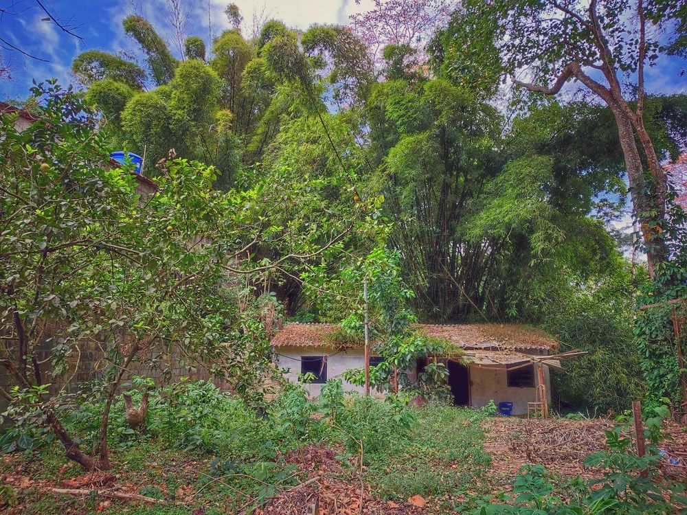 Photograph by nileydi Colmenarez