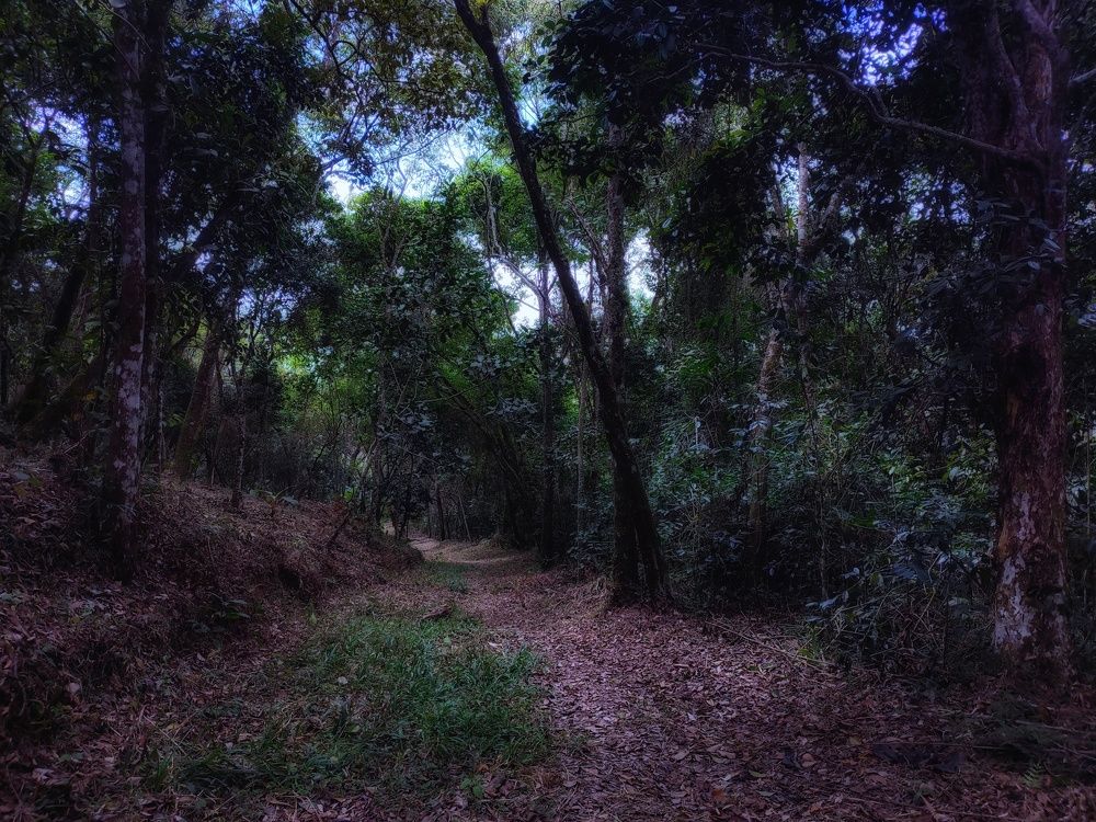 Photograph by nileydi Colmenarez