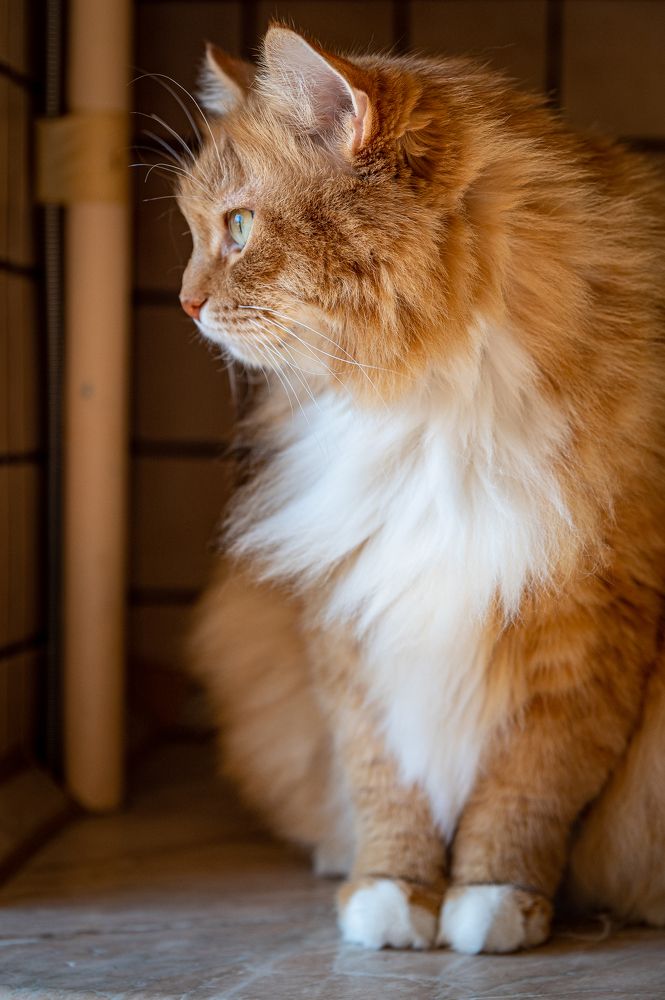 Photograph by Роман Ливенсон