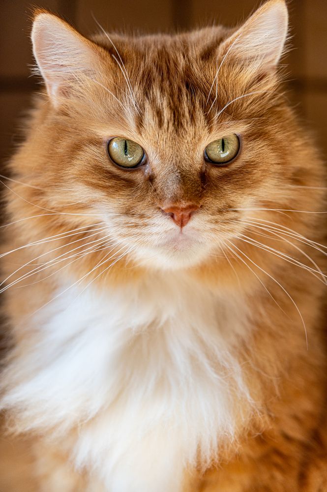 Photograph by Роман Ливенсон