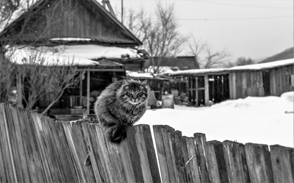 Photograph by константин