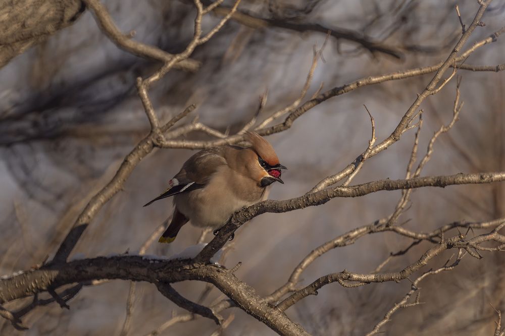 Photograph by ALEKSANDR KUZNETSOV