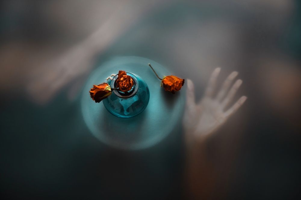 Photograph by Сергей Романченко