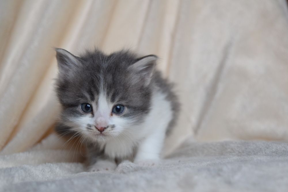 Photograph by Мария Бундакова