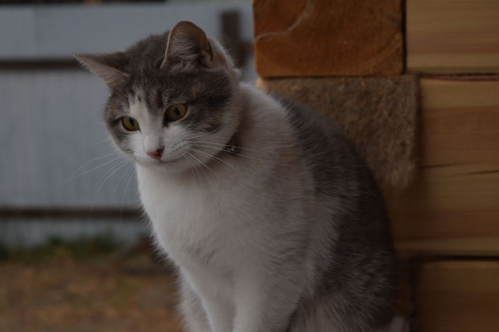 Photograph by Мария Бундакова