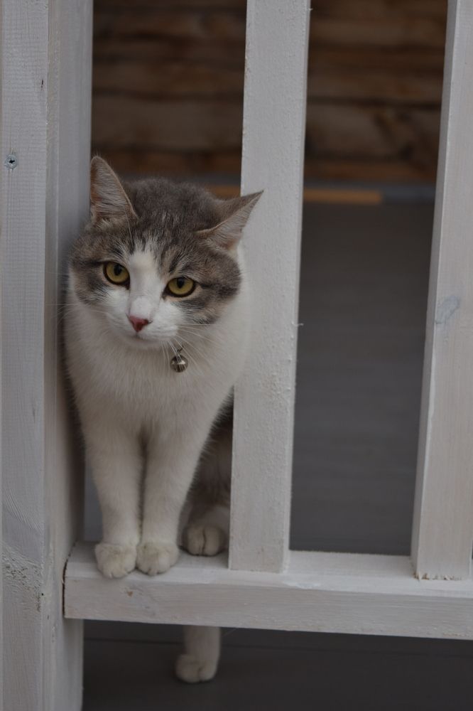 Photograph by Мария Бундакова