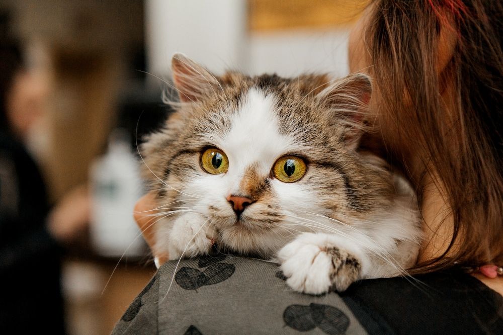 Фотография автора Ольга Анохина