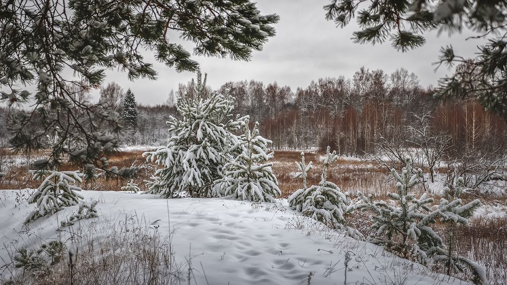 Photograph by Андреев Николай