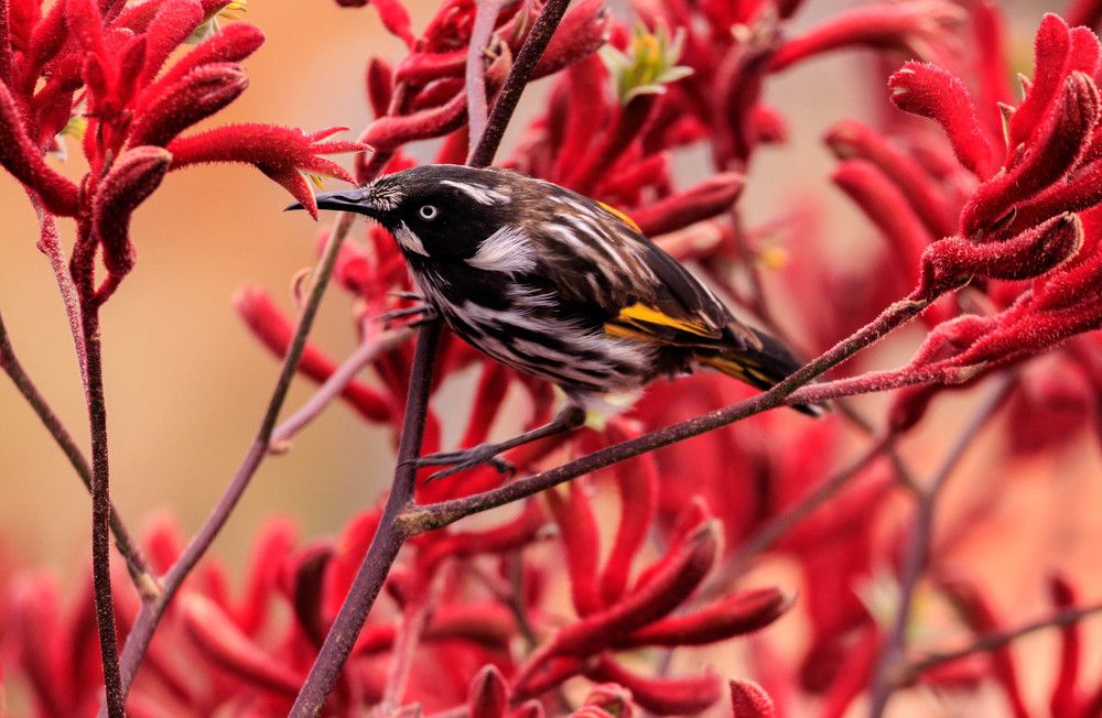 Photograph by Hashedi Moments