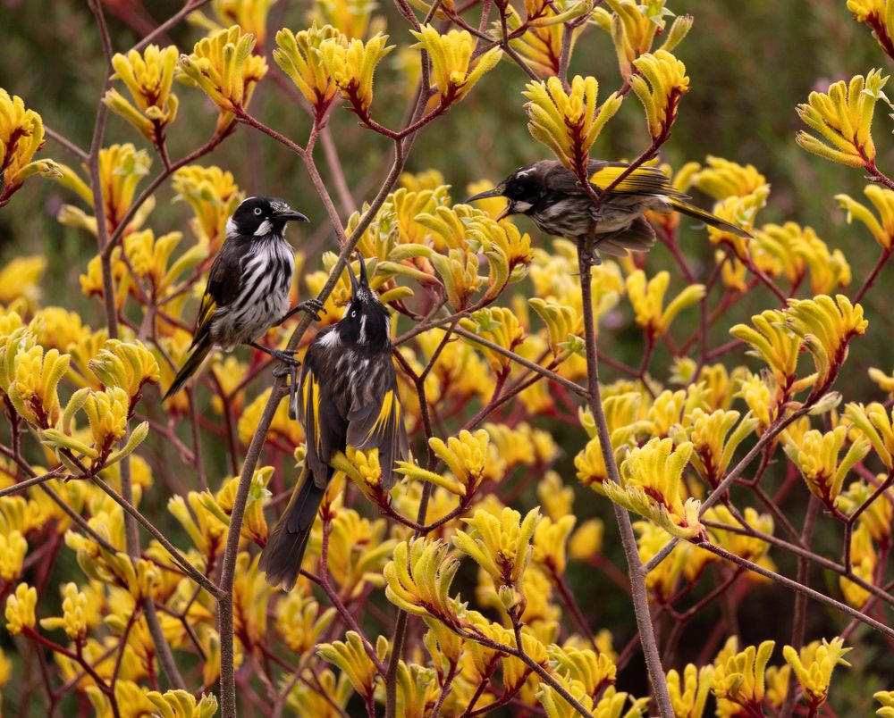 Photograph by Hashedi Moments