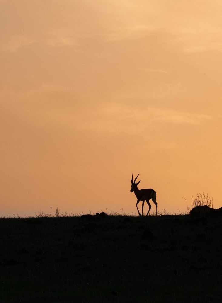 Photograph by Vishal Shah