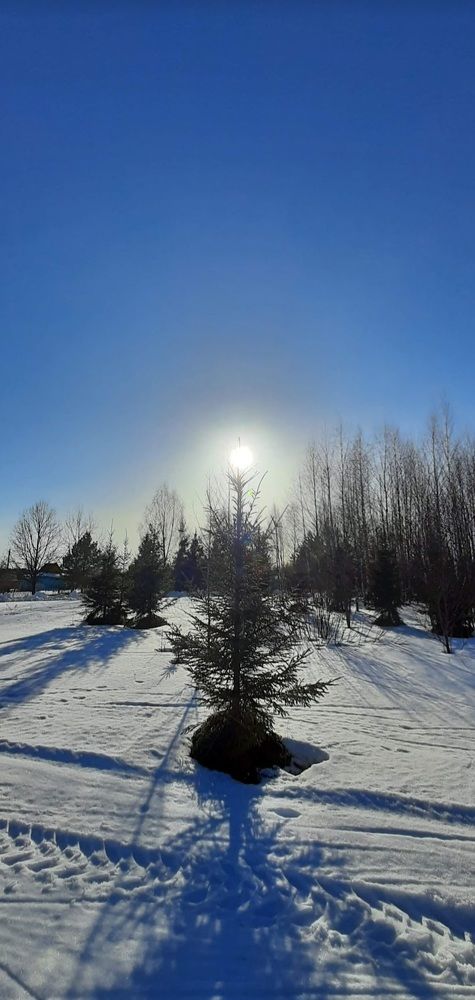 Радость жизни