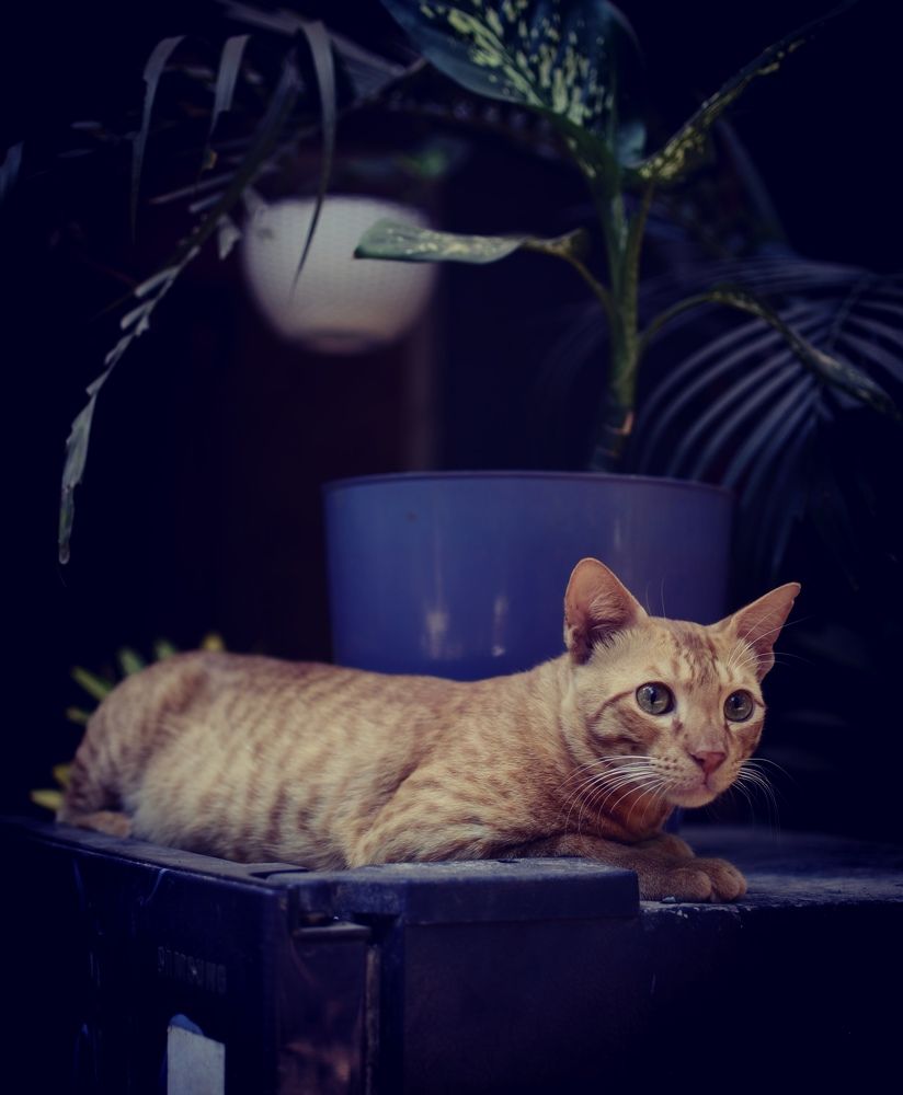 Photograph by Екатерина Николаева