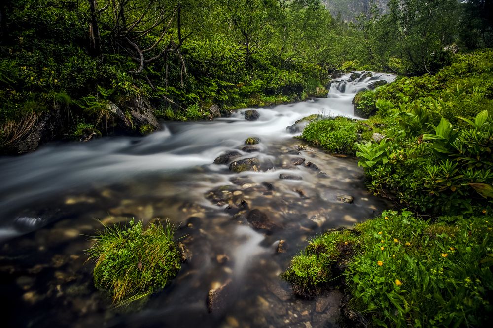 Молочные берега.