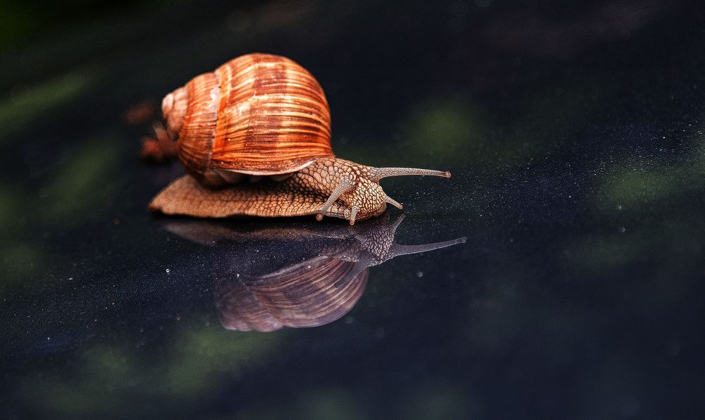 Photograph by Владимир Безбородов