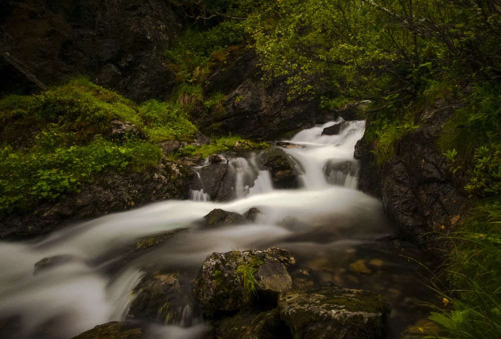 Фотография автора Пшеннов Михаил