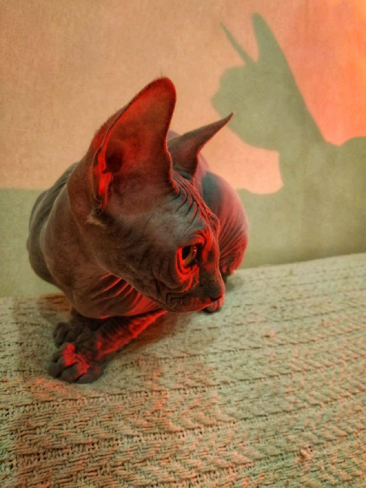 Photograph by Елена Алексеева