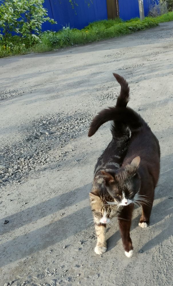 Фотография автора Светлана Смирнова