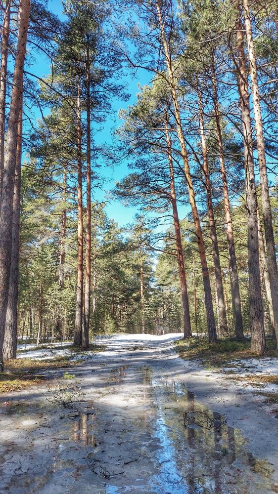 Photograph by Андрей Нурулин