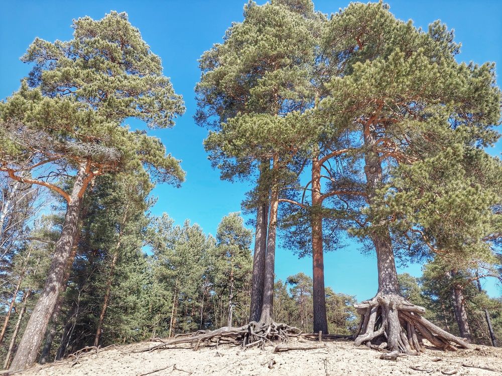 Photograph by Андрей Нурулин