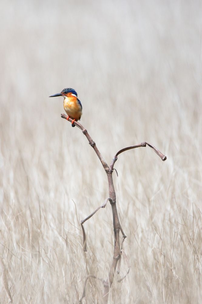 Photograph by Mike Temmerman