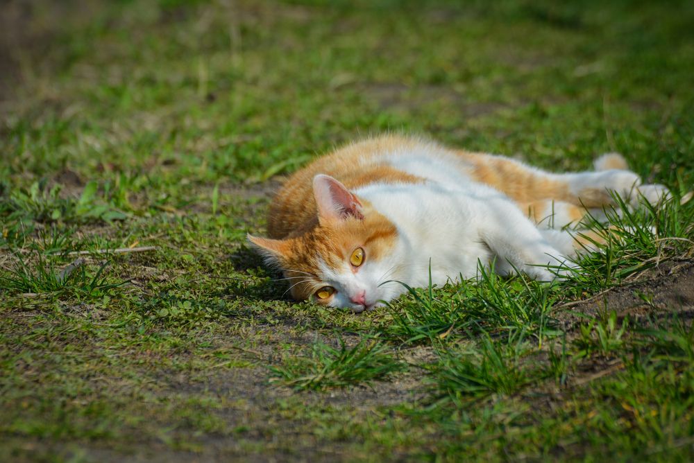 Photograph by Ольга