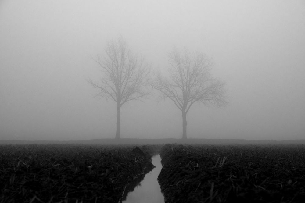 Photograph by Elliott Grieshofer