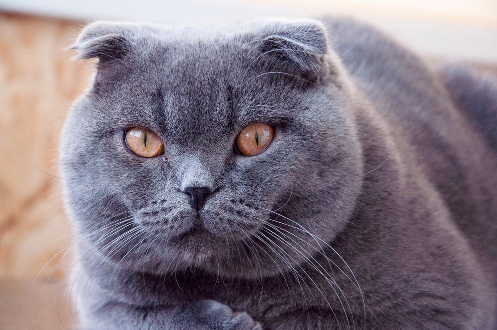 Photograph by Мария Александрова