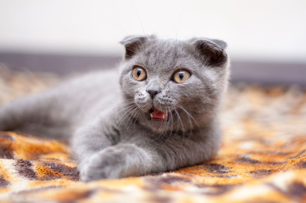 Photograph by Мария Александрова