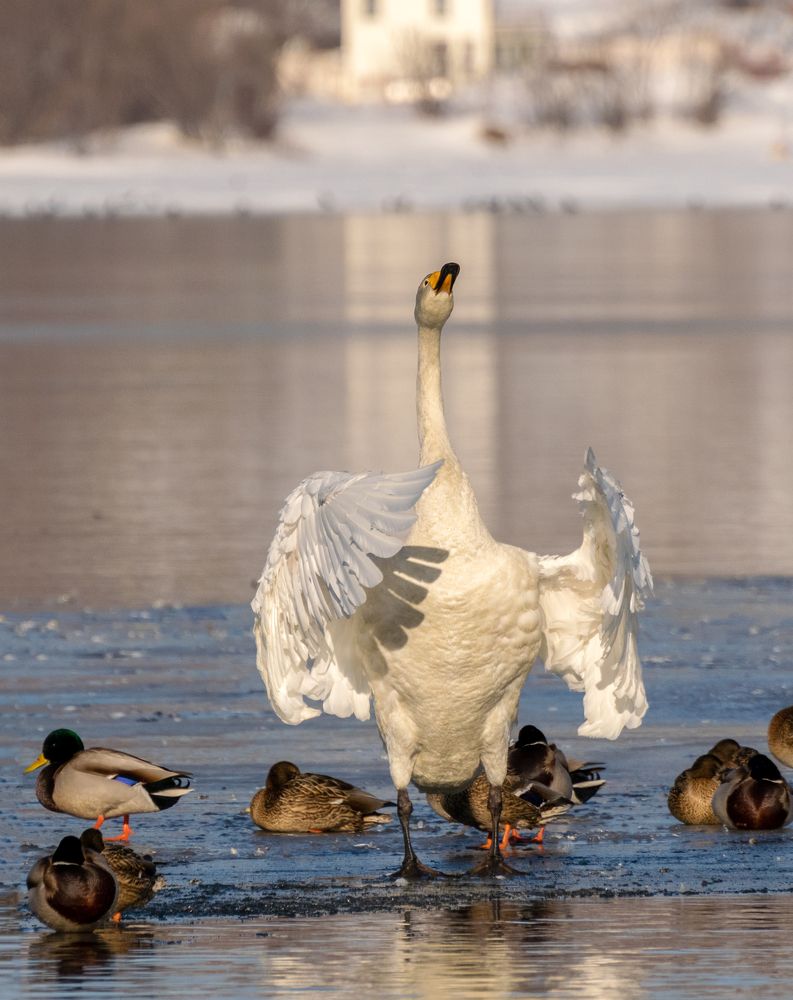 Photograph by Наталья Королева