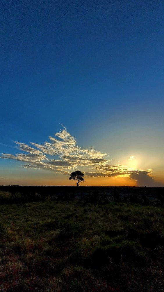 Photograph by Valeria Colombatti