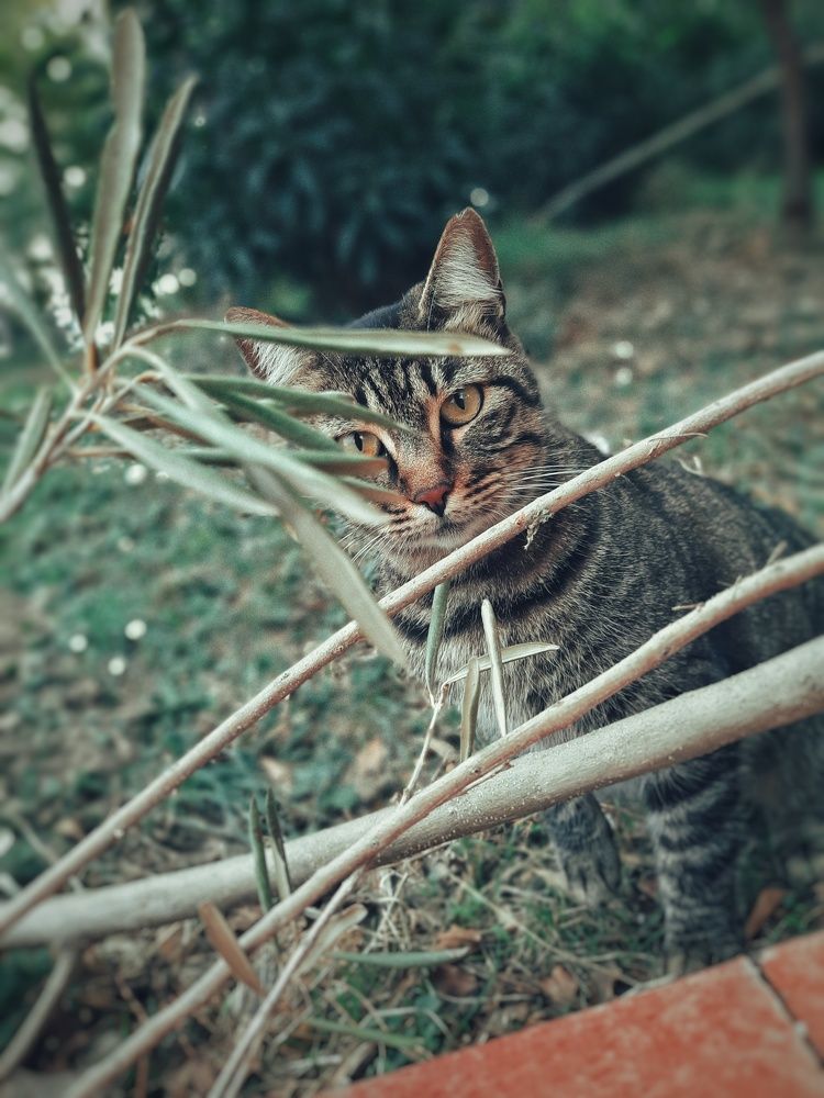 Photograph by Екатерина