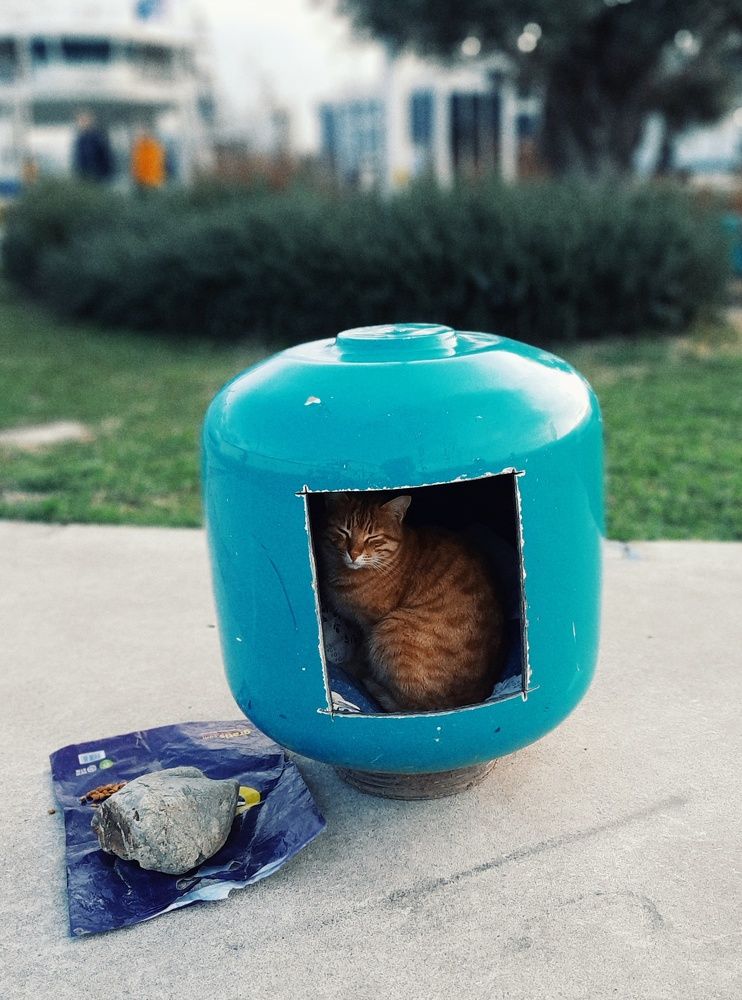 Photograph by Екатерина