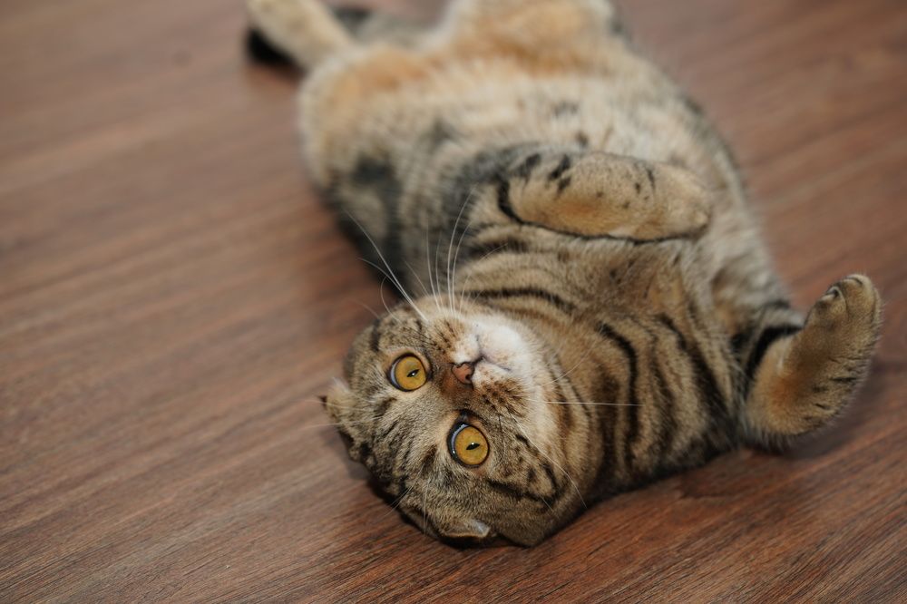 Photograph by Ольга Дой