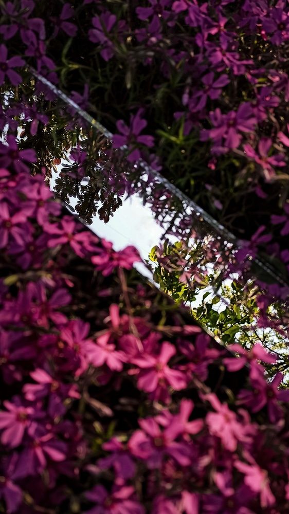 Photograph by Kate Hondochka