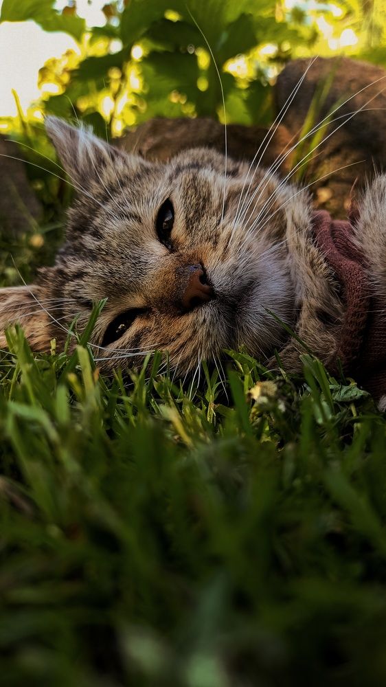 Photograph by Kate Hondochka