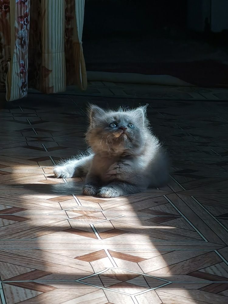 Photograph by Galina Belinskya