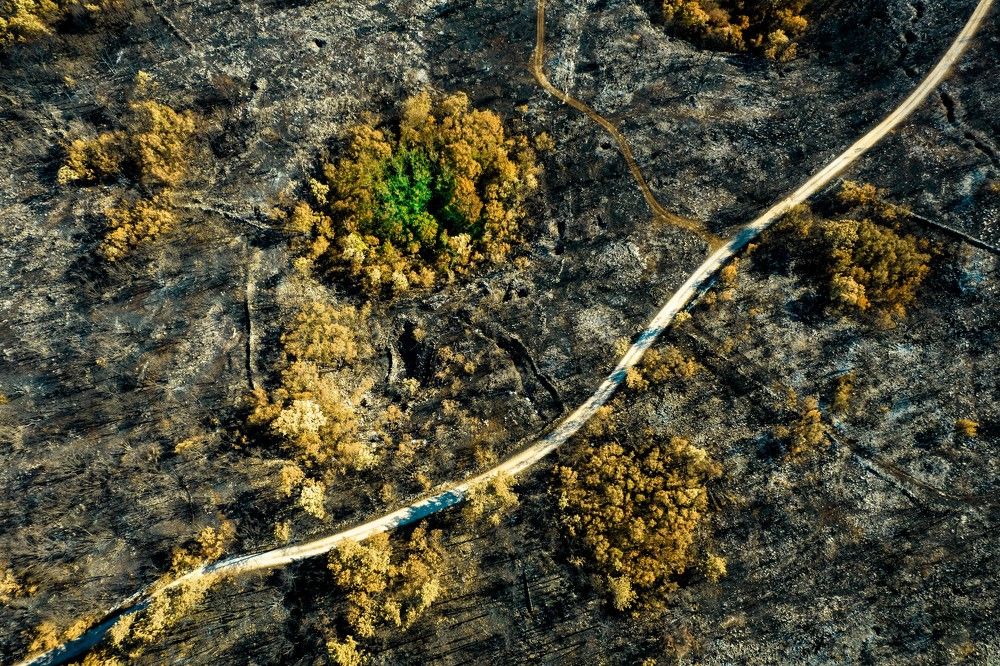 Photograph by Primož Kobal