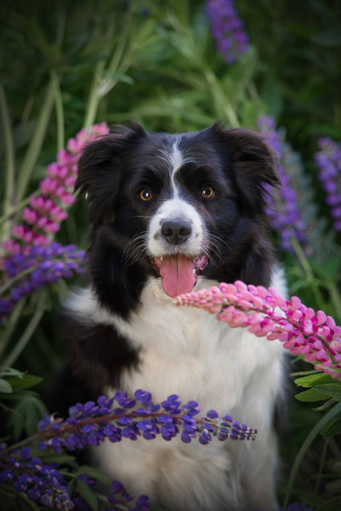 Photograph by Дарья Лисицына