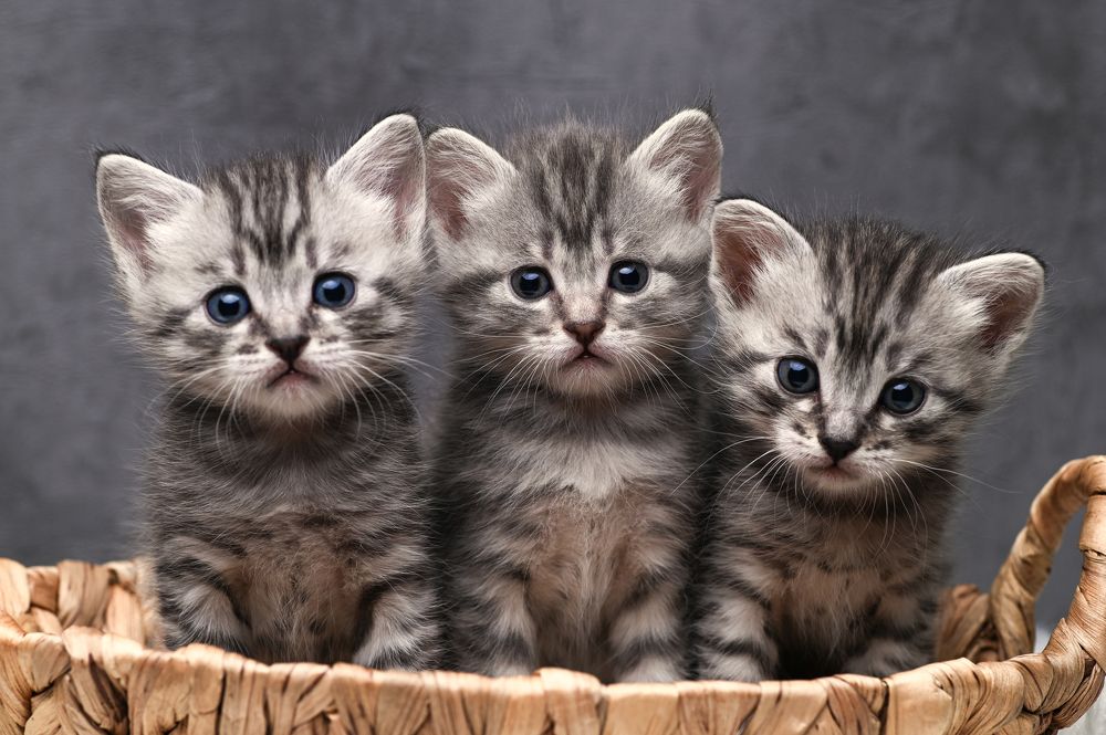 Photograph by Усачева Ольга