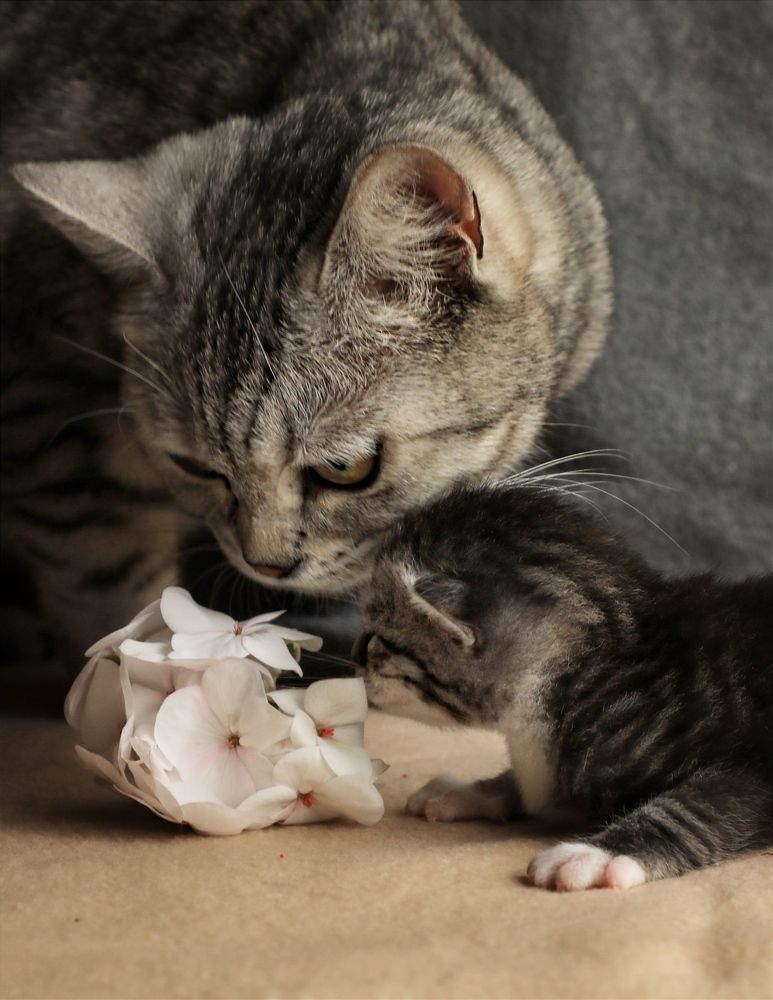 Photograph by Дарья Юсарева