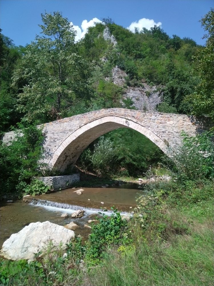 Фотография автора Danica Utjesinovic