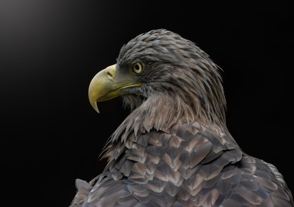 Photograph by Дарья