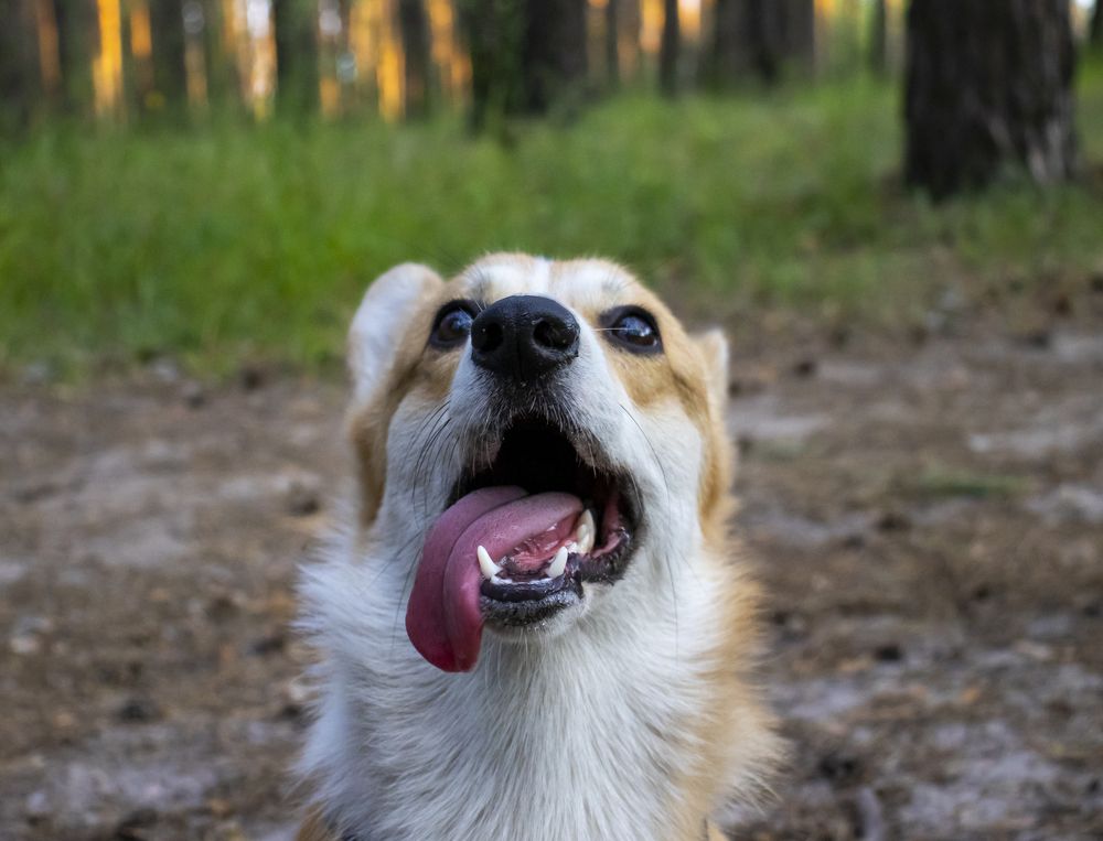 Photograph by Александр Голиков