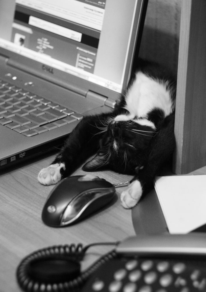 Photograph by Александр Кузовков