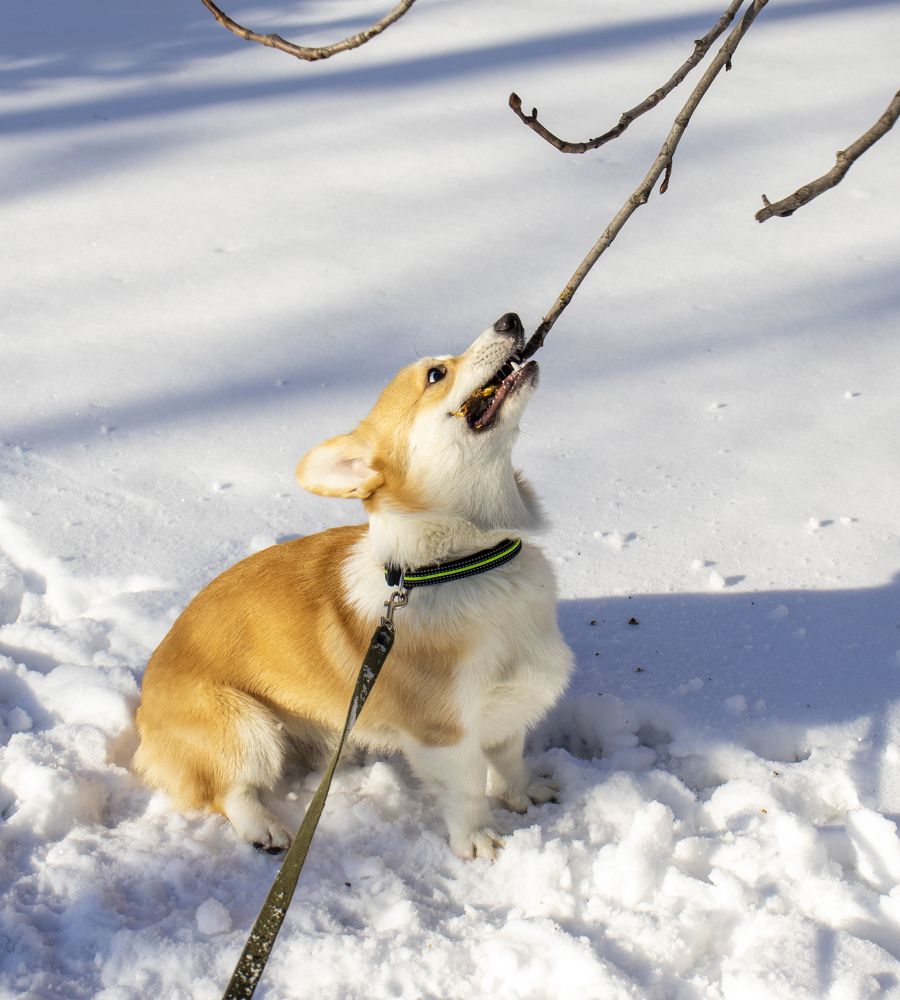 Photograph by Александр Голиков